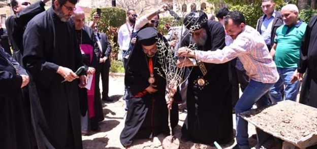 "تواضروس واسحاق" يزرعان شجرة الزيتون للسلام بكنج مريوط غرب الإسكندرية