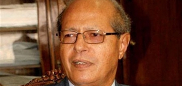 رخا حسن عضو المجلس المصري للشؤن الخارجية