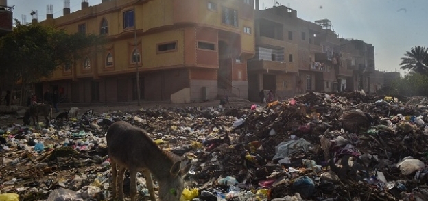 القمامة تحاصر منازل «المنوات»