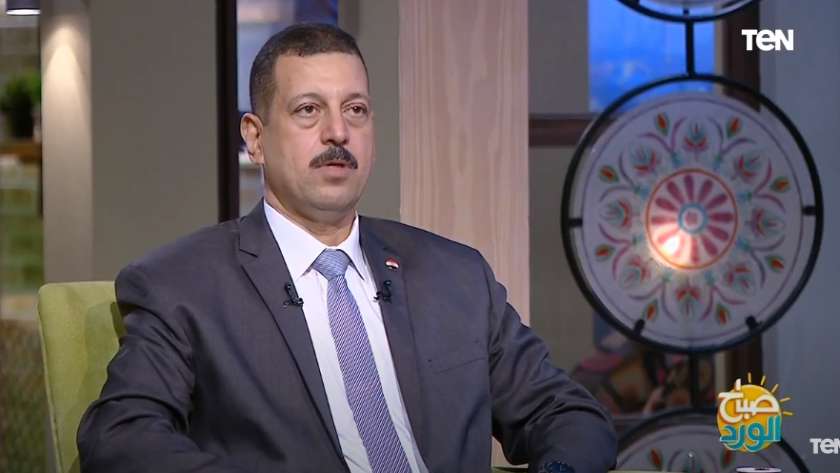 الدكتور أيمن حمزة.. المتحدث باسم وزارة الكهرباء والطاقة