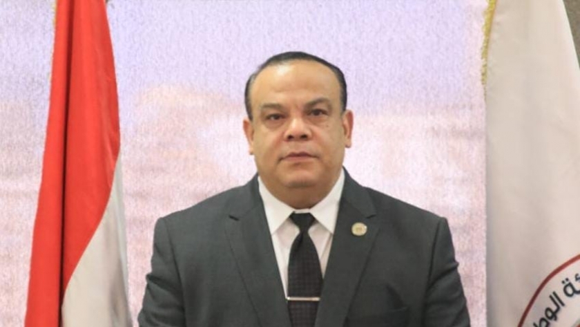 المستشار حازم بدوي، رئيس الهيئة الوطنية للانتخابات