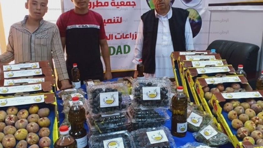 التموين تعلن تسجيل "التين والعنب وزيت الزيتون" كمنتجات جغرافية مصرية