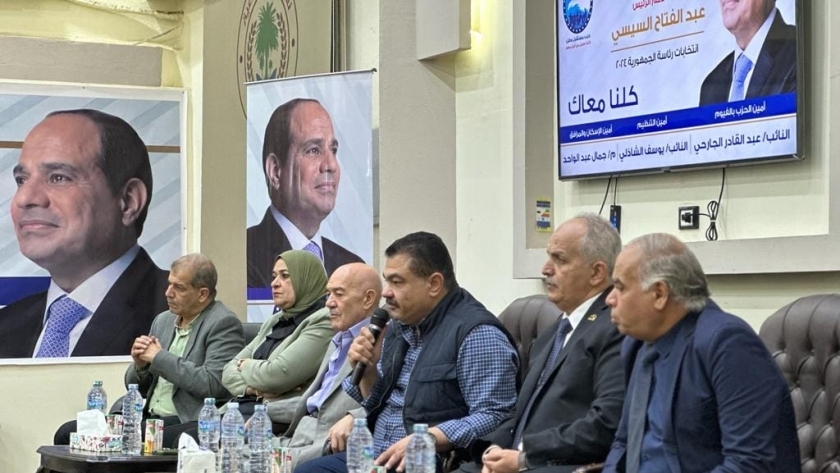 لقاءات دعم المرشح عبد الفتاح السيسي بالفيوم