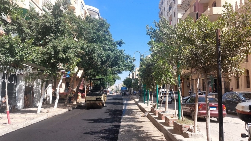 شوارع الإسكندرية