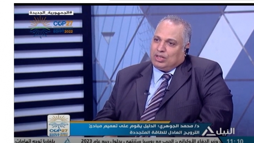 الدكتور محمد الجوهري أستاذ التمويل والاستثمار بجامعة القاهرة