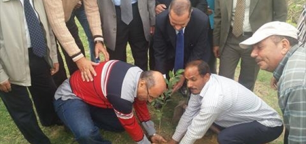 حملة الشجرة الطيبة تزرع 60 شجرة ليمون بعلوم الإسكندرية