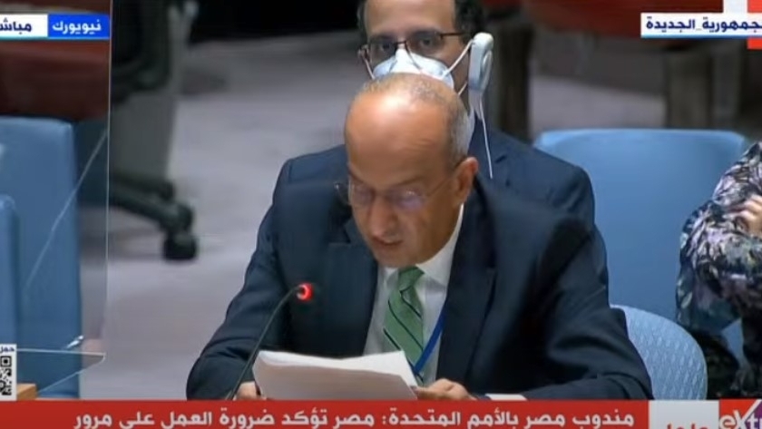أسامة عبد الخالق، مندوب مصر في جلسة مجلس الأمن