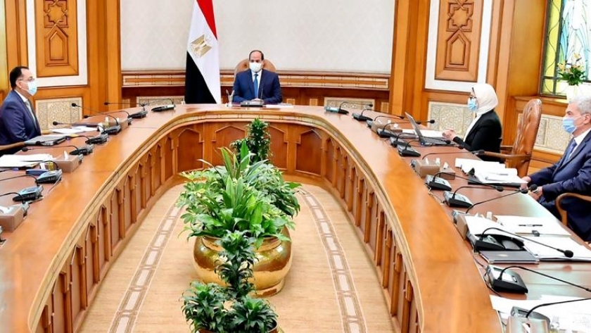 الرئيس عبدالفتاح  السيسي يتابع مشروع تصنيع مشتقات البلازما في مصر