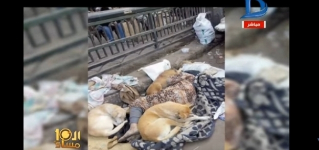 امرأة تنام مع كلاب