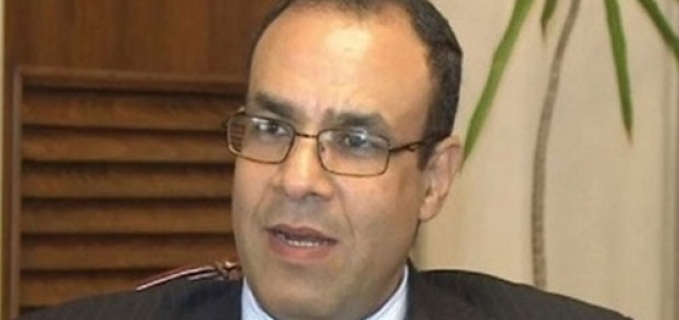 السفير بدر عبد العاطى