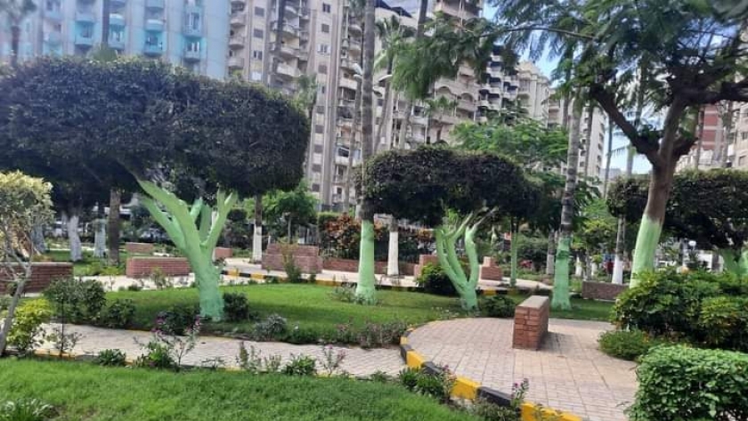 تجميل حدائق الإسكندرية