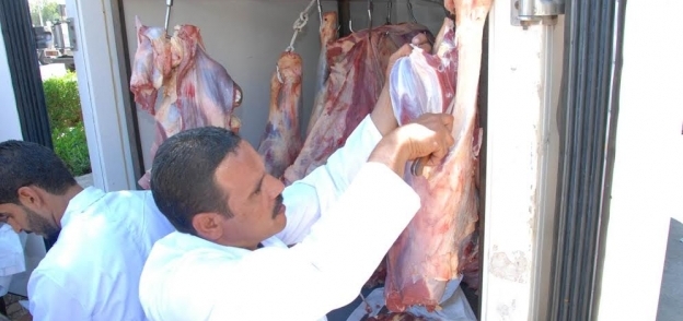 طرح 800 خروف وراس ماشية من اللحوم الحية بأسعار مخفضة باسواق  أسييوط