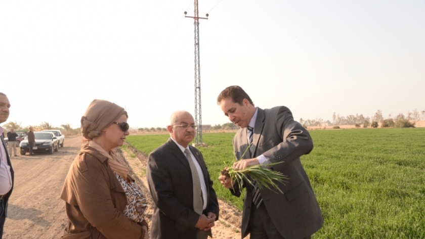 رئيس جامعة أسيوط يعلن عن نجاح استصلاح 120 فدان بمزرعة الوادي الأسيوطي