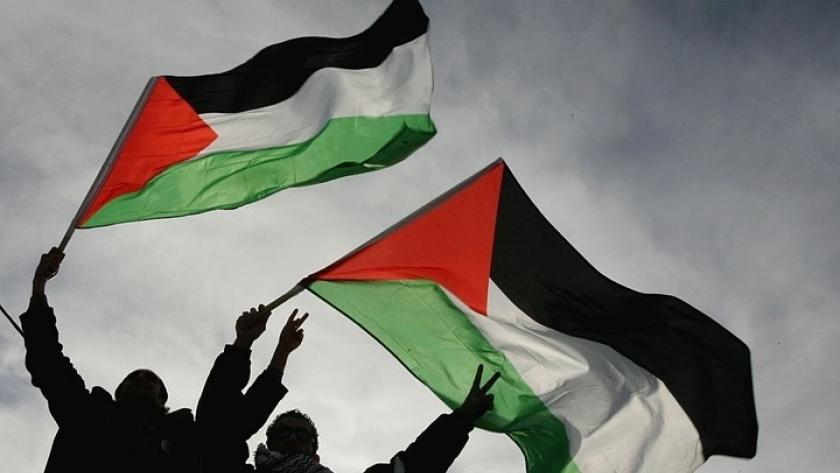 دعم القضية الفلسطينية- تعبيرية