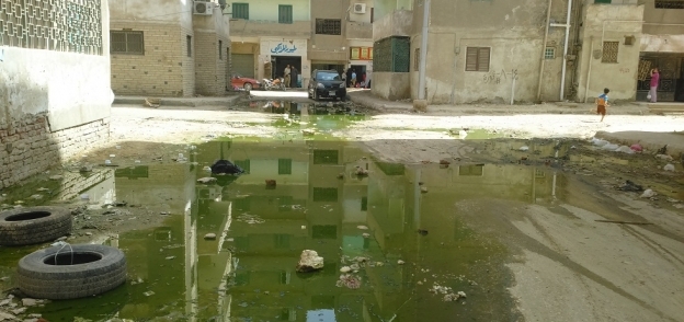 صورة مستنقعات مياه الصرف الصحي بمساكن الجون بالفيوم