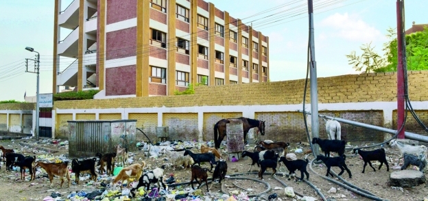 القمامة تحاصر مدرسة شوقى عابد