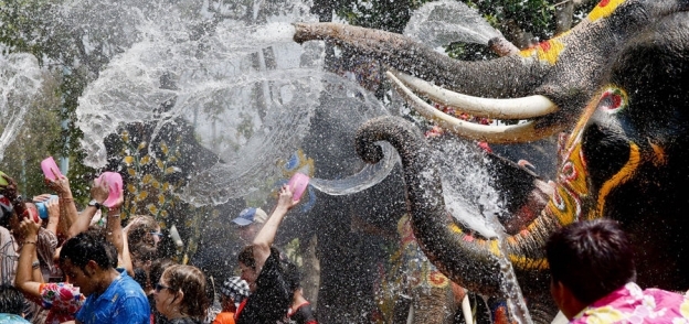 بالصور| أفيال "أيوتايا" تشارك التايلانديين احتفالات مهرجان الماء