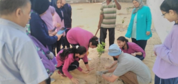 زراعة 46 شجرة مثمرة بمدارس وسط الإسكندرية