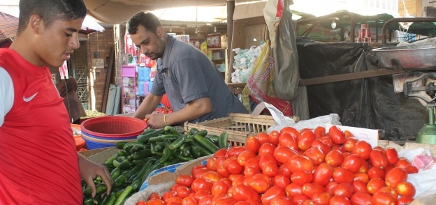 ارتفاع أسعار «الطماطم» يثير غضب المواطنين ويدفعهم إلى إطلاق حملات لمقاطعة شرائها