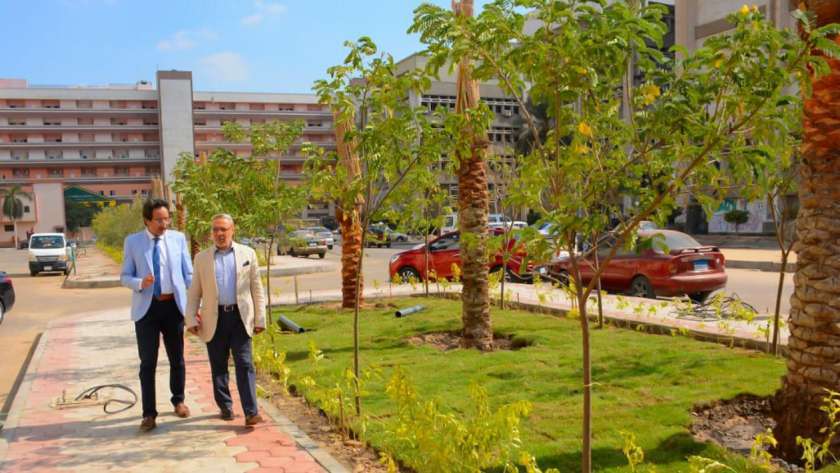 زراعة 2000 شجرة داخل جامعة طنطا
