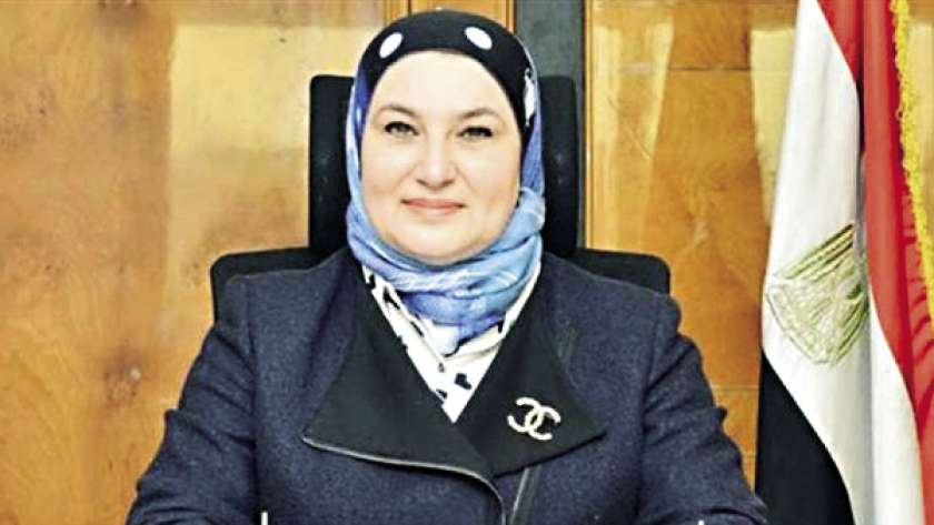 رئيس مجلس إدارة البنك المصري لتنمية الصادرات