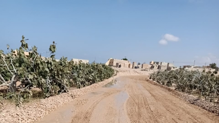 إنشاء طريق أولاد ميار في عمق صحراء مطروح