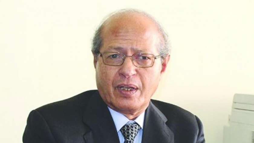 السفير رخا أحمد حسن، مساعد وزير الخارجية الأسبق