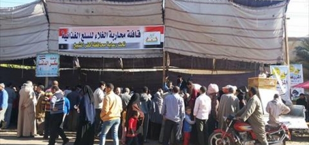 محافظة كفر الشيخ تكافح الغلاء بتسيير سيارات محملة بالسلع الغذائية