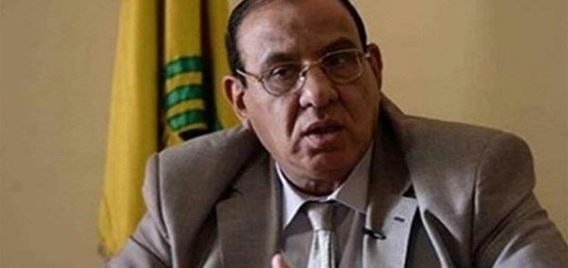 الدكتور طلعت عبد القوى، رئيس الاتحاد العام للجمعيات الأهلية