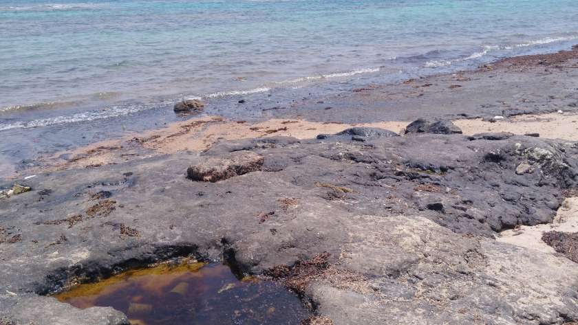 التلوث النفطى على شواطئ رأس غارب
