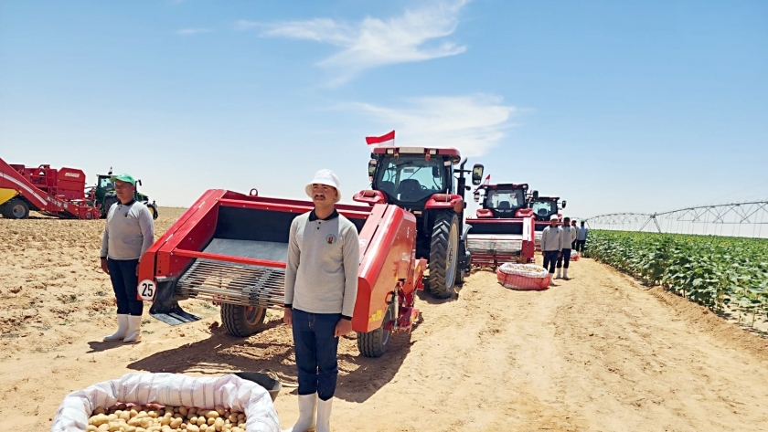 المشروعات الجديدة بشرق العوينات أنتجت أجود المحاصيل الزراعية بعد استصلاح الأراضى الصحراوية