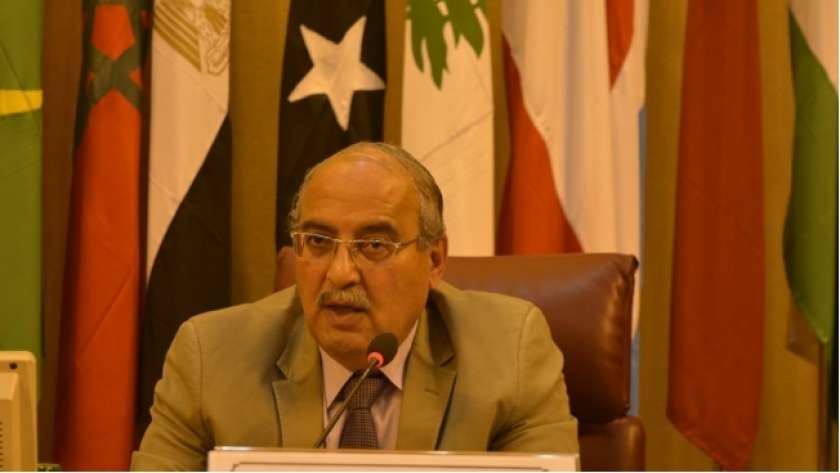 الدكتور مجدي علام أمين عام خبراء البيئة العرب