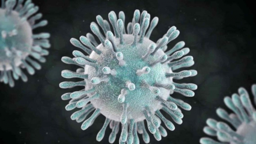 فيروس كورونا .. صورة أرشيفية