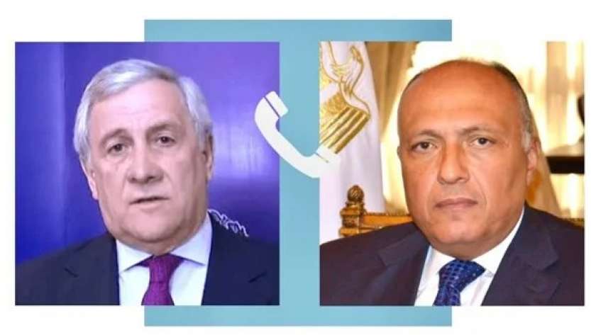 وزير الخارجية المصري ونظيره الإيطالي