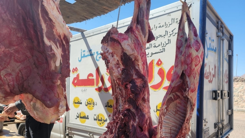 استعدادات محافظة قنا لعيد الأضحى المبارك