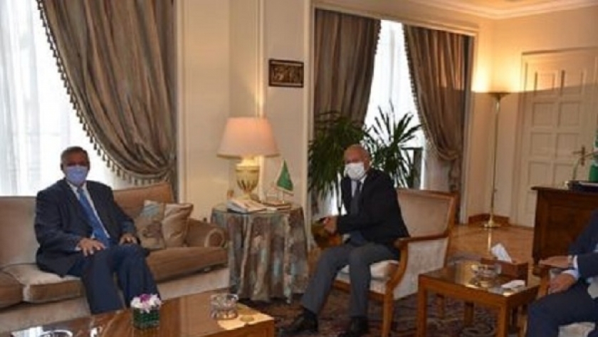   أبو الغيط يستقبل منسق الأمم المتحدة للبنان