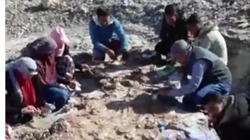فريق بحثي بجامعة الوادي الجديد يكتشف حفرية لزاحف بحري عملاق عاصر الديناصورات