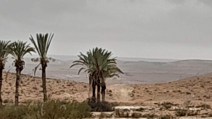 أمطار خفيفة ومتوسطة في شمال سيناء