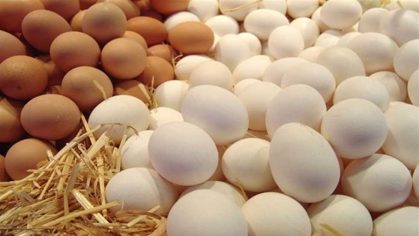 صورة البيض الداجن - أرشيفية