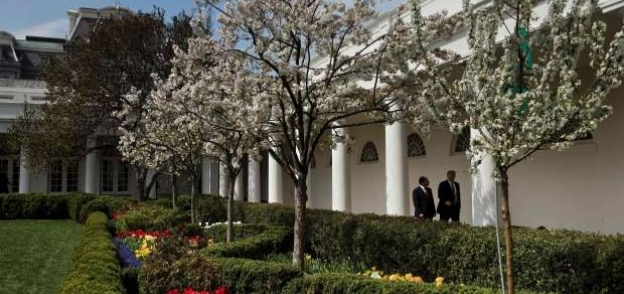 جولة "السيسي" و"ترامب" في حديقة البيت الأبيض