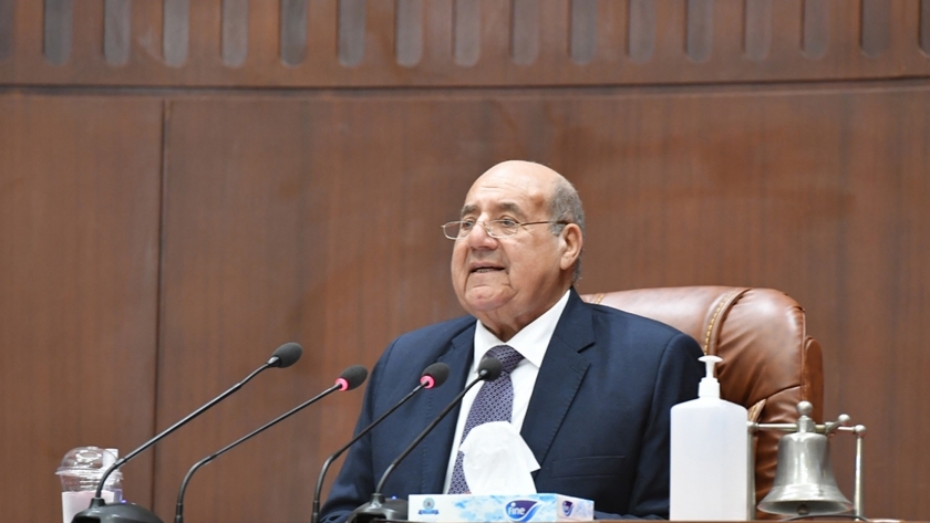 المستشار عبدالوهاب عبدالرازق رئيس مجلس الشيوخ