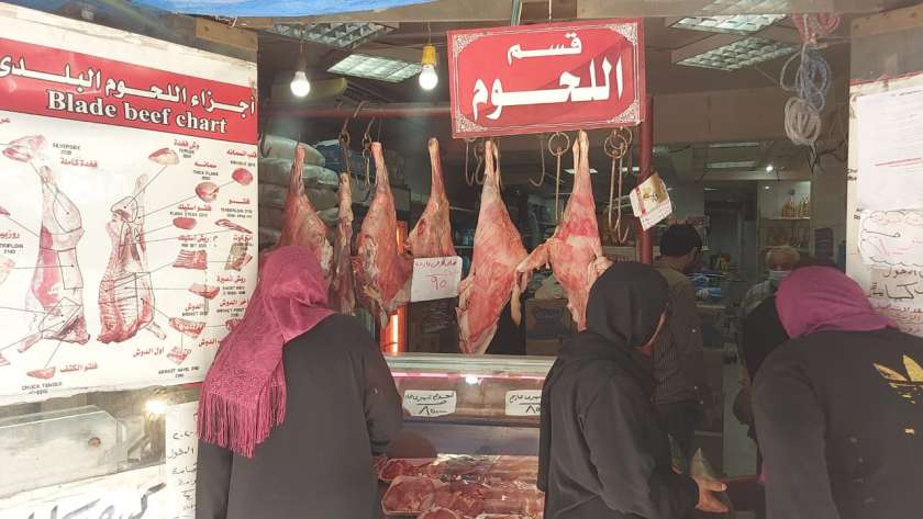 استعدادات عيد الأضحى في محافظة الإسكندرية