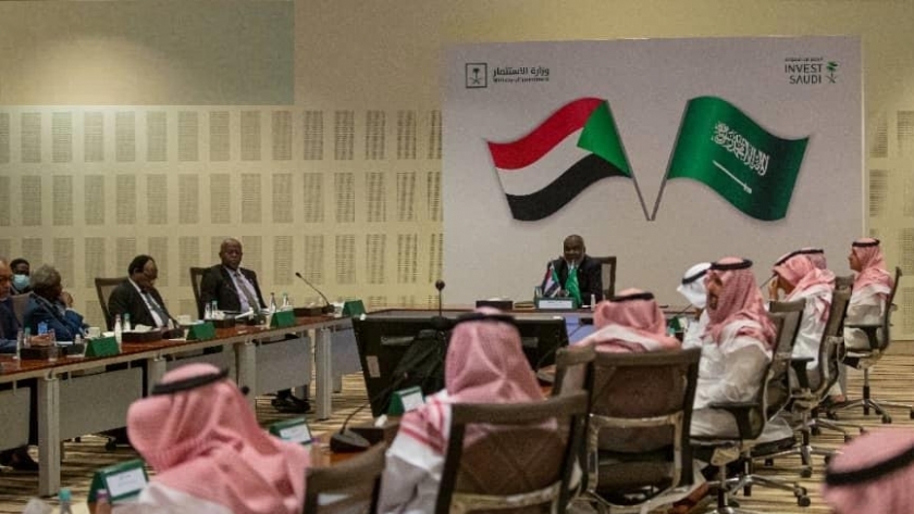 الملتقى السعودي للاستثمار في السودان