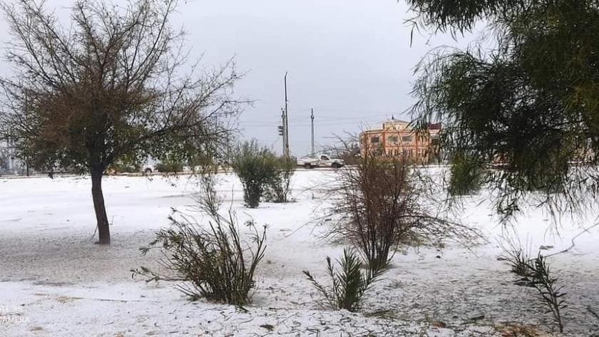 قرية جلبانة بالإسماعيلية تكتسي باللون الأبيض بسبب الأمطار الثلجية