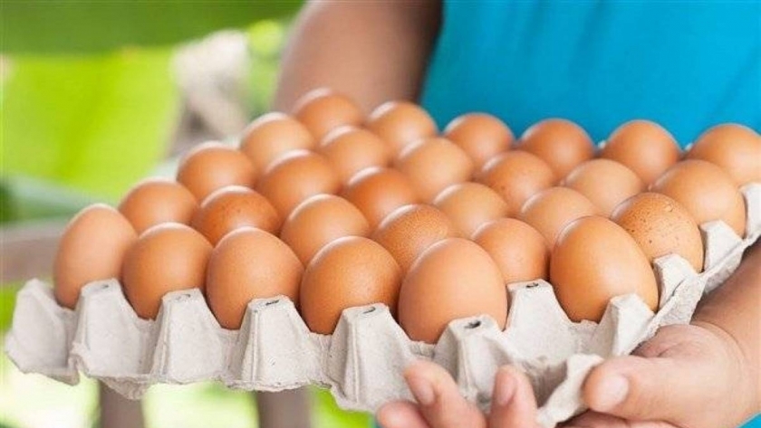 سعر كرتونة وطبق البيض اليوم الجمعة فى الأسواق