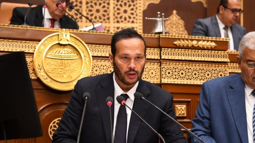 محمد حلاوة رئيس لجنة الصناعة والتجارة بـ«الشيوخ»