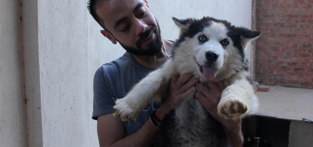 «شادى» مع أحد الكلاب التى أنقذها