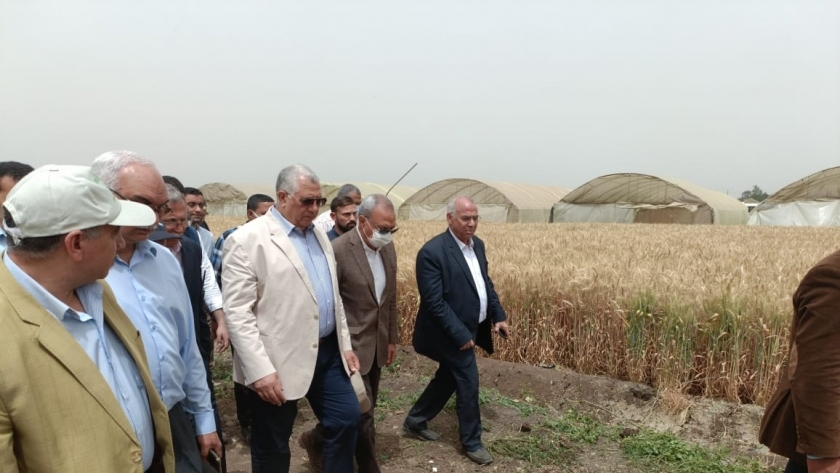 وزير الزراعة يتفقد محصول القمح