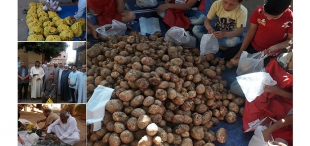 توزيع مواد غذائية.. جزيرة أبو عمرو بالشرقية تطلق مبادرة لإطعام البسطاء