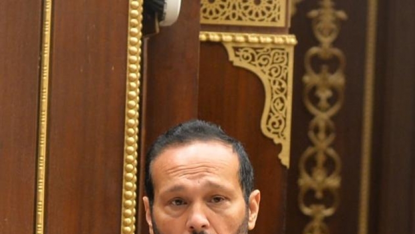 محمد حلاوة رئيس لجنة الصناعة والتجارة بمجلس الشيوخ